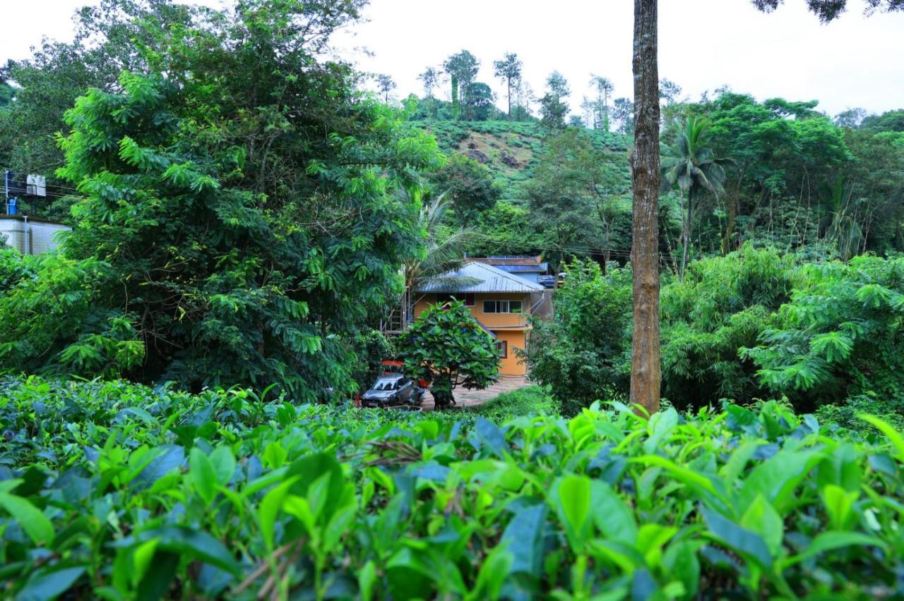 Green View Holiday Home فيثيري المظهر الخارجي الصورة