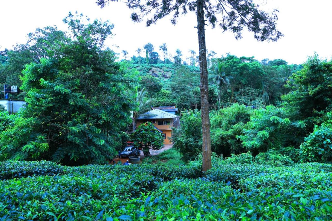 Green View Holiday Home فيثيري المظهر الخارجي الصورة